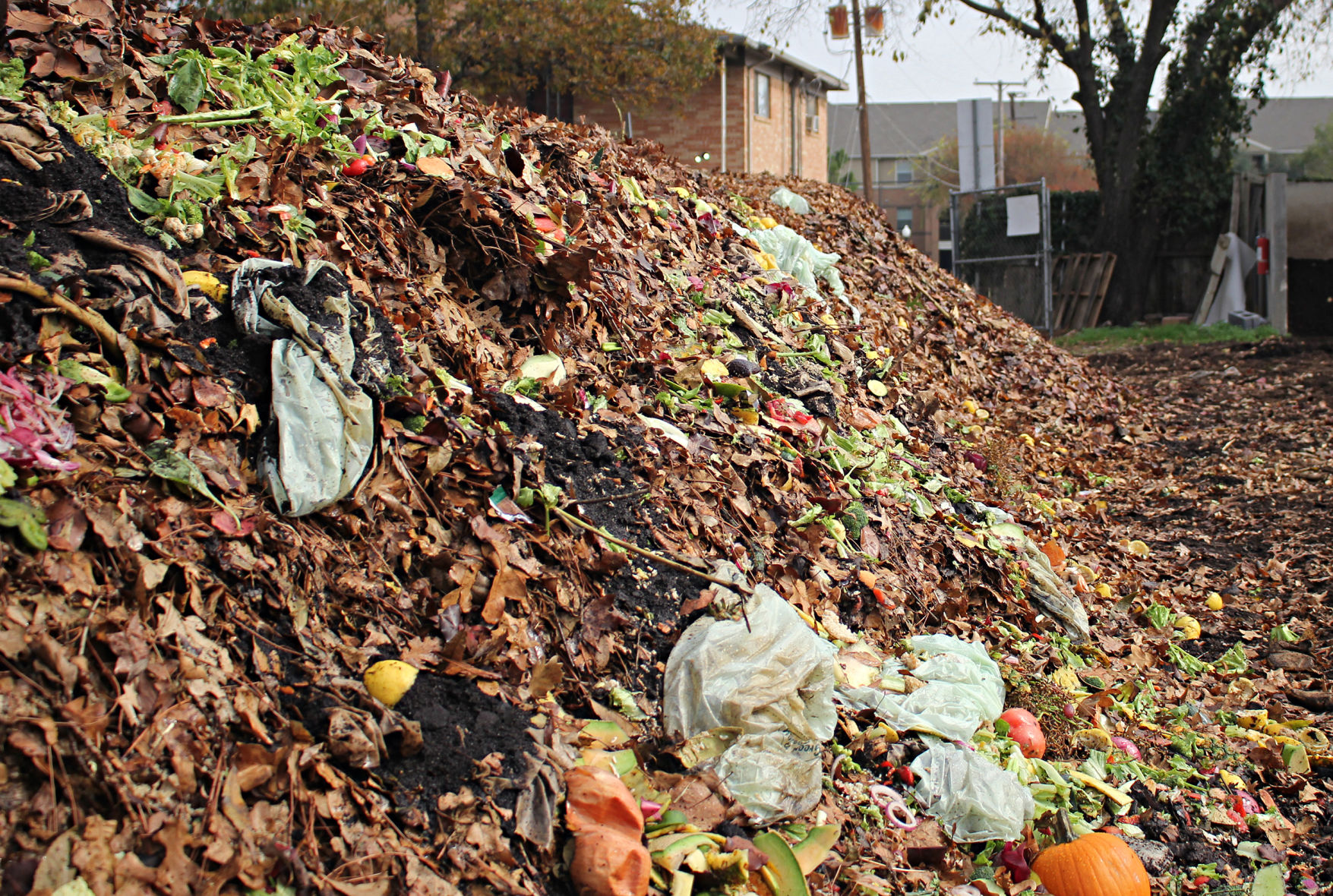 UTA compost ambassador vies for sustainability